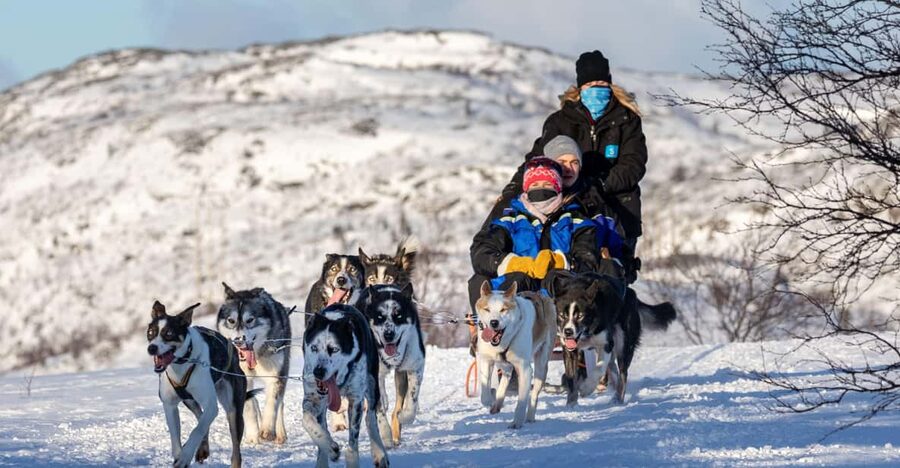 Rovaniemi: Santa's Village, Husky, & Reindeer Sled Ride - What this Rovaniemi combo tour actually covers