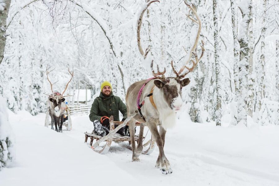 Rovaniemi: Santa's Village, Husky, & Reindeer Sled Ride - Santa Claus Village and the Arctic Circle