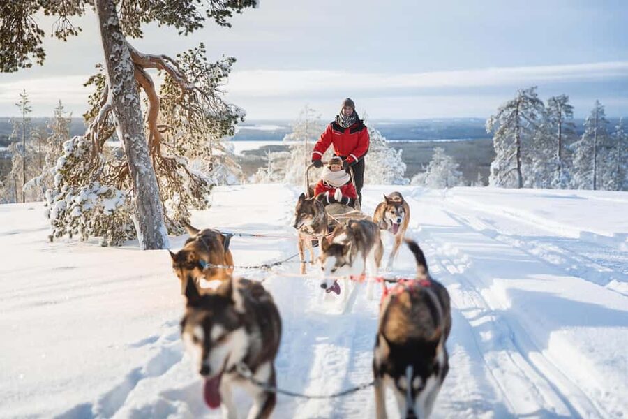Rovaniemi: Santa Village,2km Husky Sled Ride & Snowman World - Three hours for Snowman World and the Arctic Circle