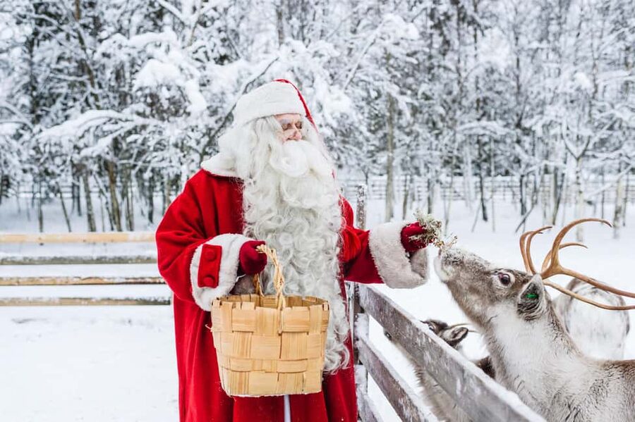 Rovaniemi: Tour to Santa Claus Village with Hotel Transfer - Reaching Santa Claus Village from Rovaniemi