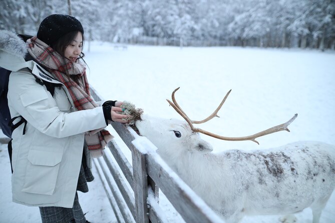 Santa Claus Village, Husky and Reindeers Combo Safari - What this Rovaniemi combo tour actually includes