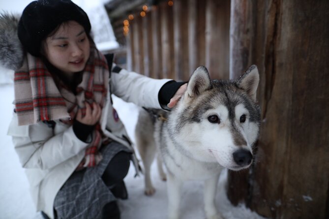 Santa Claus Village, Husky and Reindeers Combo Safari - Weather and seasonal changes