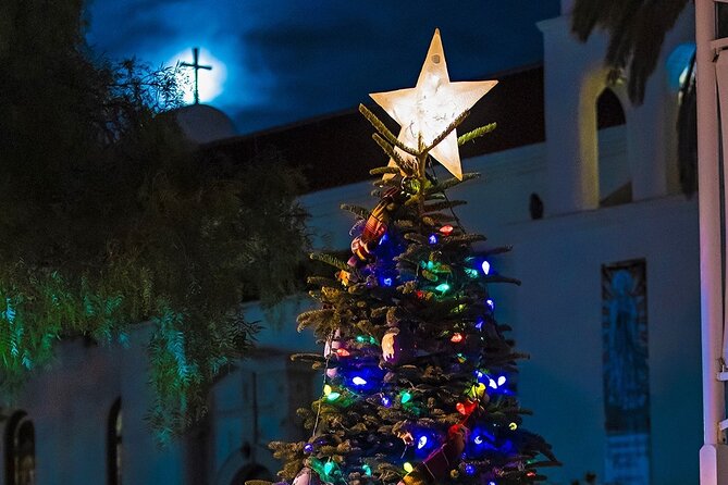 Savannah Holiday Sights and Festive Nights Trolley Tour - What this Savannah holiday tour really offers