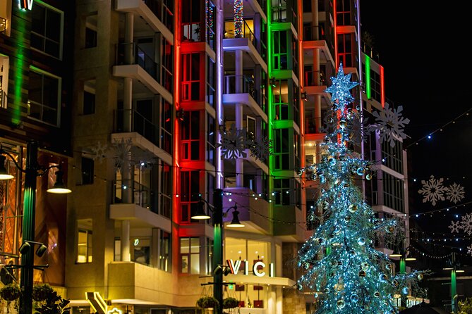 Savannah Holiday Sights and Festive Nights Trolley Tour - A moving tour of Savannah’s squares and homes