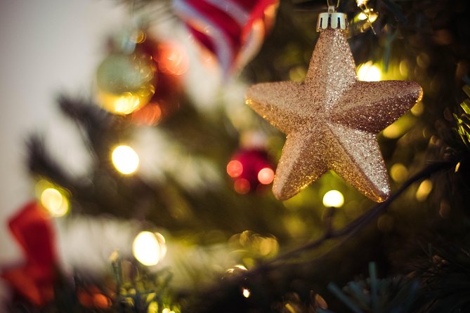 Saving Christmas Escape Room in Chattanooga - Who should book Saving Christmas?