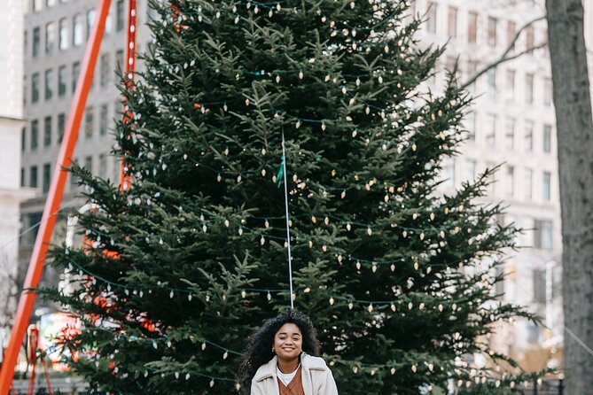 St. Louis Private Christmas Spectacular Tour - Key points to know before booking