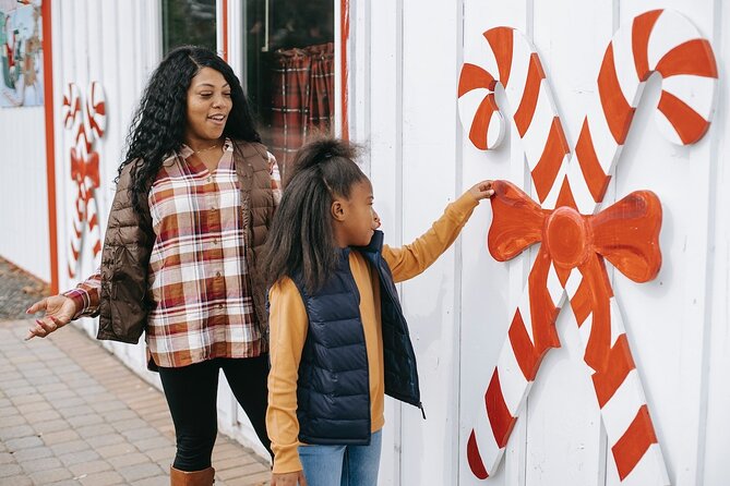 St. Louis Private Christmas Spectacular Tour - Poelker Park and seasonal activities