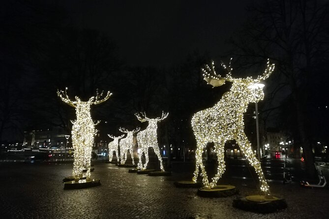 Stockholm Christmas Tour and Food Tasting Experience - What this Stockholm Christmas walk is really like