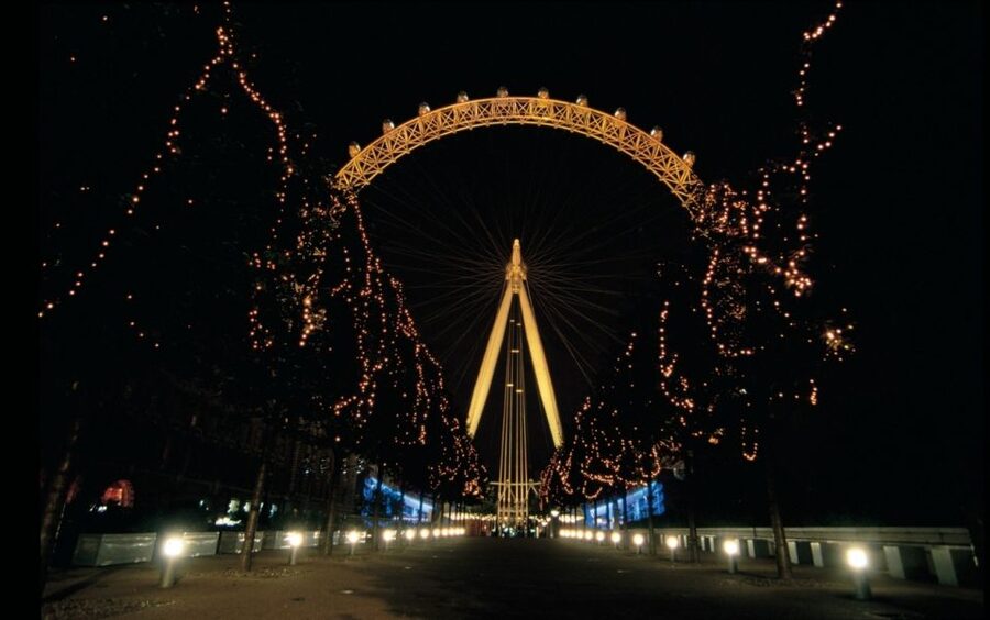 Tour of London and Christmas Day Lunch Cruise - Key points to know before booking
