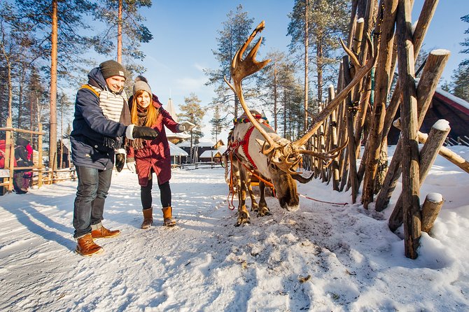 Trip to Arctic Circle, Santa Claus Village and Santas Reindeer - Santa’s Reindeer and the Arctic Circle Lunch