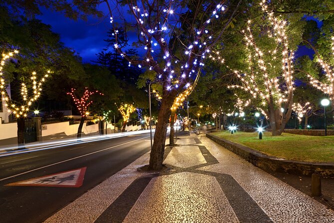 Tuk Tuk Funchal Magic Christmas Lights - Key points at a glance