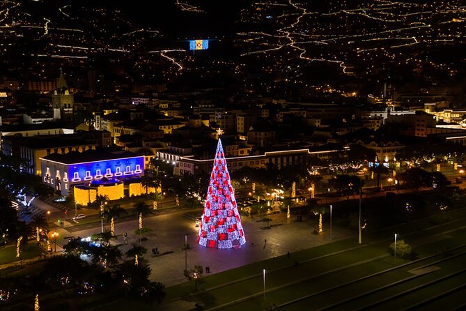 Tuk Tuk Funchal Magic Christmas Lights - Funchal Cathedral under Christmas lights