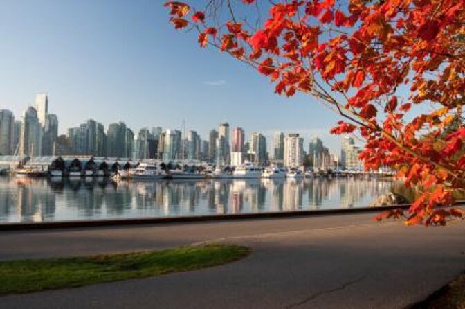 Vancouver Christmas Festival of Lights - Key points to know before booking