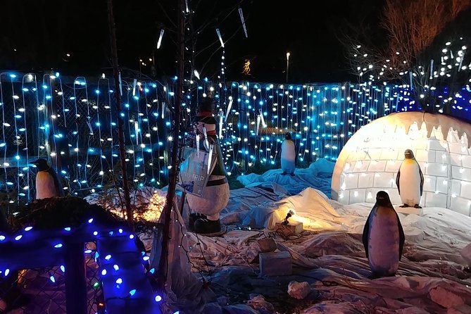 Vancouver Christmas Festival of Lights - The private van and guide make the timing easier