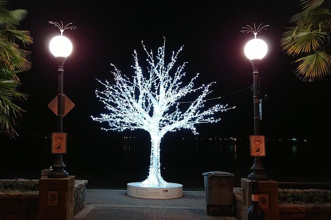 Vancouver Christmas Festival of Lights - Who will enjoy this evening most?