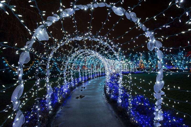 Vancouver: Christmas Lights Karaoke Trolley Tour - A Christmas tour built around singing