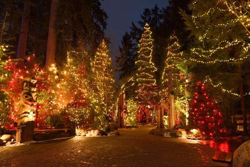 Vancouver: Christmas Lights Karaoke Trolley Tour - Is $52 a fair price?