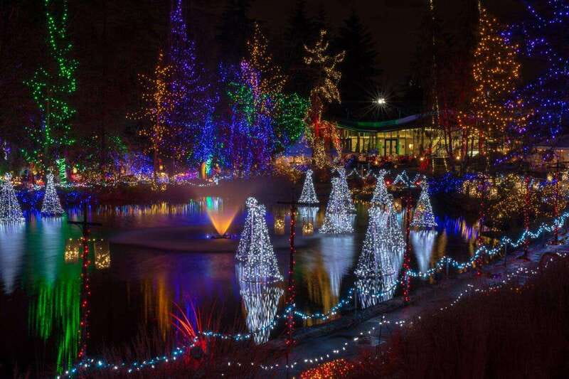 Vancouver: Christmas Lights Karaoke Trolley Tour - Should you book the Christmas Lights Karaoke Trolley?