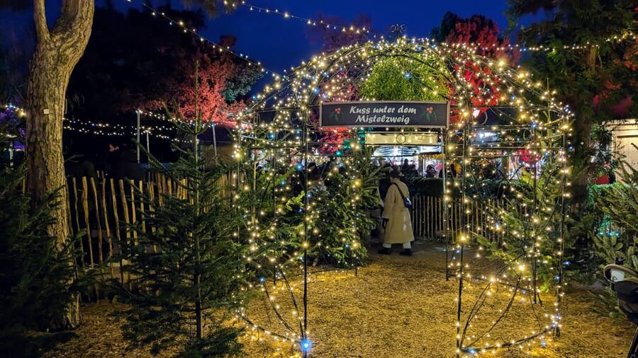 Vienna: Christmas Market Food and Drinks Tour - Reaching the old university campus market