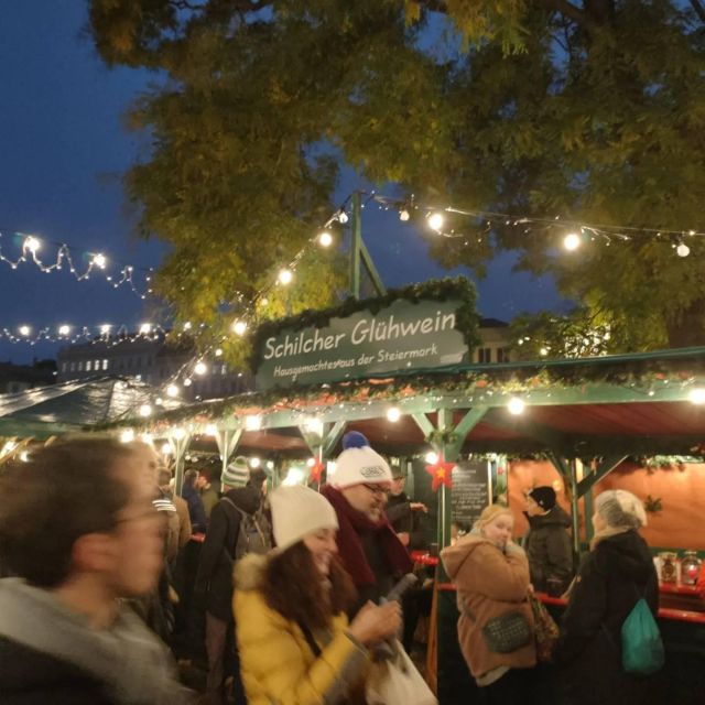 Vienna: Schönbrunn Palace & Christmas Market Walking Tour - Small group advantages and possible limits