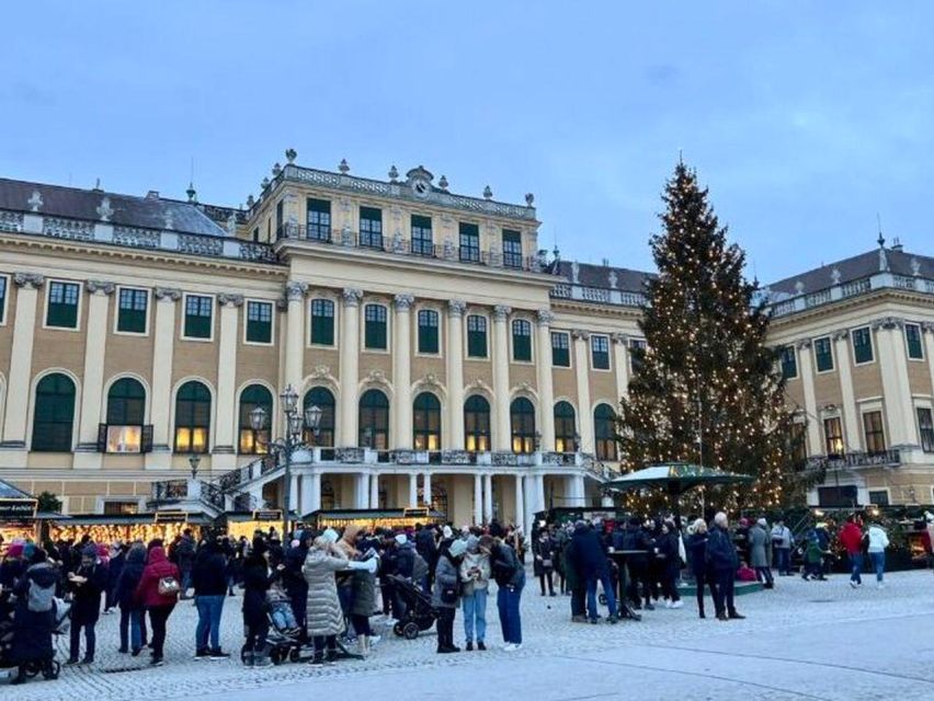Vienna: Schönbrunn Palace & Christmas Market Walking Tour - Should you book the palace and Christmas market tour?