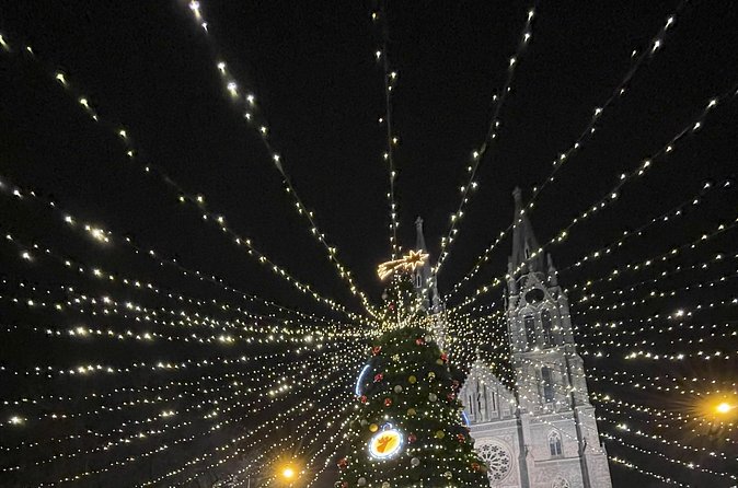 Walking tour in Prague Christmas Market and Festivities - Ending with wishes on Charles Bridge
