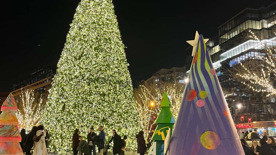 Washington, DC: Christmas Tree & Holiday Lights Bus Tour - Key points to know before booking