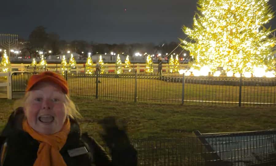 Washington, DC: Christmas Tree & Holiday Lights Bus Tour - What this Washington holiday bus tour is really like