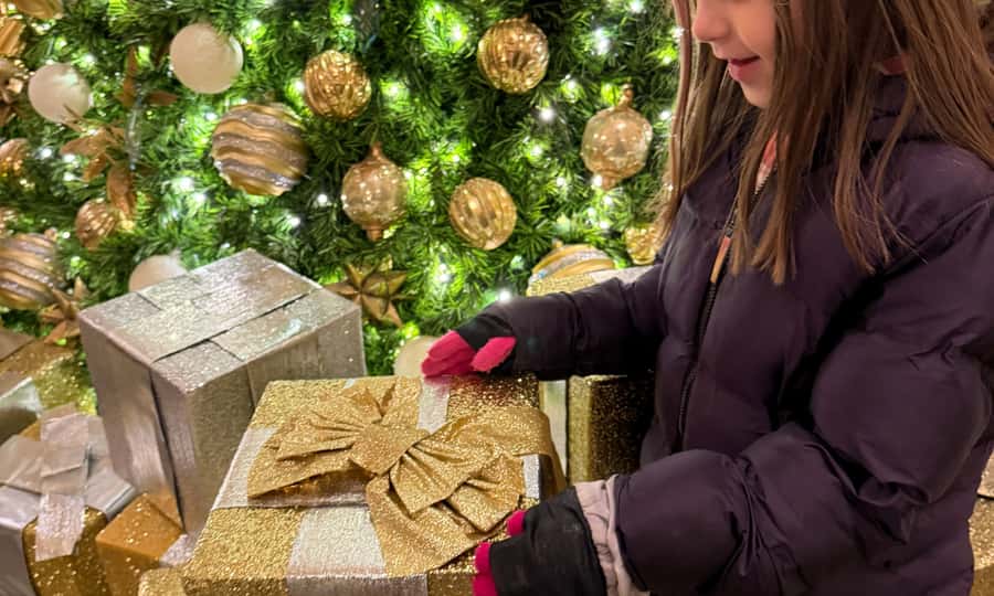 Washington, DC: Christmas Tree & Holiday Lights Bus Tour - The National Christmas Tree and Pathway of Peace