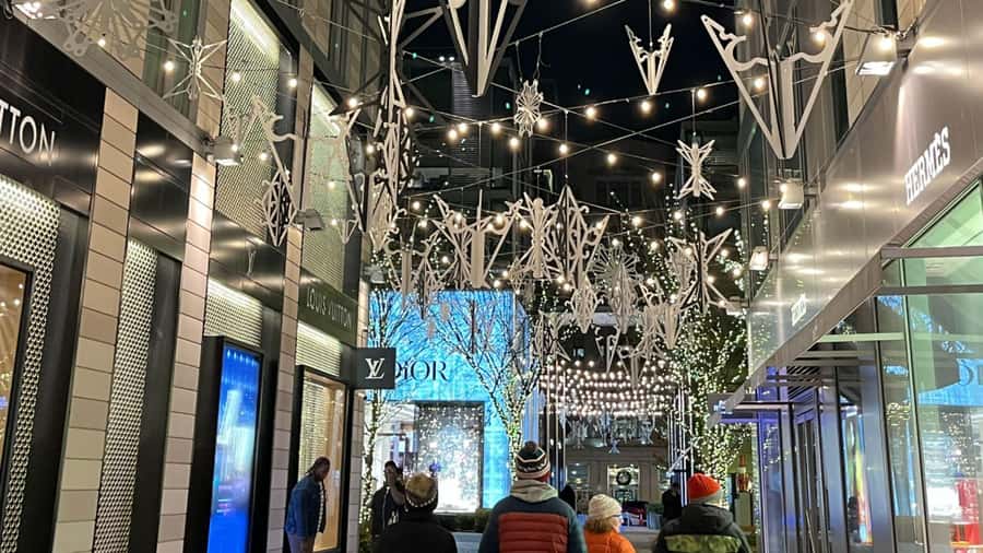 Washington, DC: Christmas Tree & Holiday Lights Bus Tour - CityCenterDC and Palmer Alley