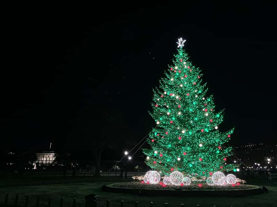 Washington, DC: Christmas Tree & Holiday Lights Bus Tour - National Mistletoe and the National Menorah