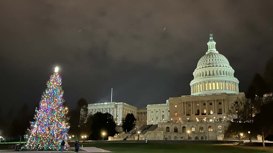Washington, DC: Christmas Tree & Holiday Lights Bus Tour - How much walking should you expect?
