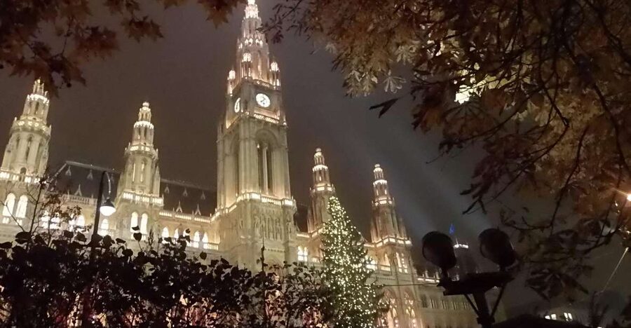 Wien: Tour with locals on the trails of the Christmas Tree - Key points to know before you book