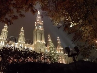 Wien: Tour with locals on the trails of the Christmas Tree