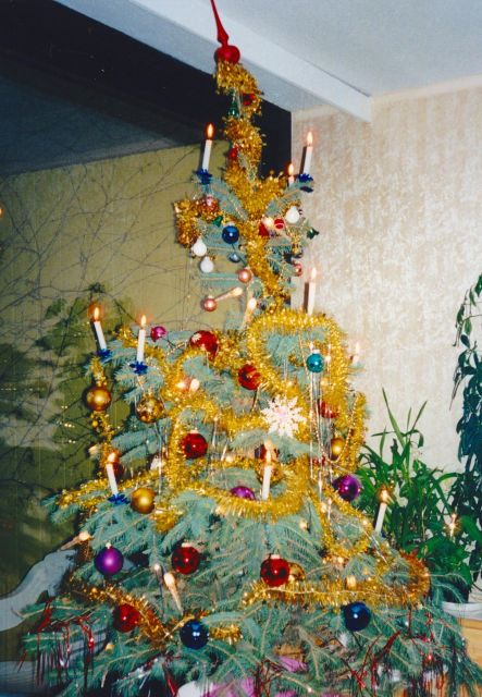 Wien: Tour with locals on the trails of the Christmas Tree - The Albertina area and the palace-to-palace route