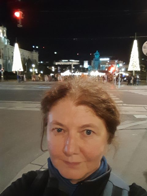 Wien: Tour with locals on the trails of the Christmas Tree - Rathausplatz and the Advent-market finish