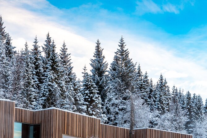 Winter Combo Godafoss Christmas House and The Forest Lagoon - What to bring and how to plan the day